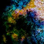 image: Image from the photoset &lsquo;damage (cclxix)&rsquo;.