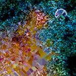 image: Image from the photoset &lsquo;damage (cclxix)&rsquo;.