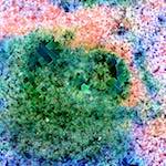 image: Image from the photoset &lsquo;damage (cclxx)&rsquo;.