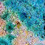 image: Image from the photoset &lsquo;damage (cclxx)&rsquo;.