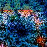 image: Image from the photoset &lsquo;damage (cclxx)&rsquo;.