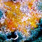 image: Image from the photoset &lsquo;damage (cclxx)&rsquo;.