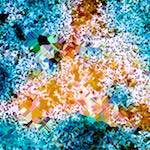 image: Image from the photoset &lsquo;damage (cclxxi)&rsquo;.