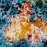 image: Image from the photoset &lsquo;damage (cclxxi)&rsquo;.