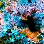 image: Image from the photoset &lsquo;damage (cclxxi)&rsquo;.