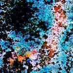 image: Image from the photoset &lsquo;damage (cclxxi)&rsquo;.