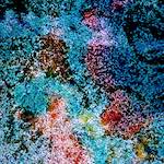 image: Image from the photoset &lsquo;damage (cclxxii)&rsquo;.