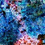 image: Image from the photoset &lsquo;damage (cclxxiii)&rsquo;.