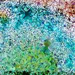 image: Image from the photoset &lsquo;damage (cclxxiv)&rsquo;.