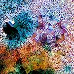 image: Image from the photoset &lsquo;damage (cclxxiv)&rsquo;.