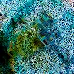 image: Image from the photoset &lsquo;damage (cclxxiv)&rsquo;.