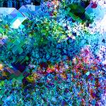 image: Image from the photoset &lsquo;damage (cclxxv)&rsquo;.