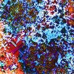 image: Image from the photoset &lsquo;damage (cclxxv)&rsquo;.