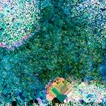 image: Image from the photoset &lsquo;damage (cclxxv)&rsquo;.