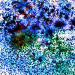 image: Image from the photoset &lsquo;damage (cclxxvi)&rsquo;.