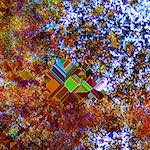 image: Image from the photoset &lsquo;damage (cclxxvi)&rsquo;.