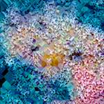 image: Image from the photoset &lsquo;damage (cclxxvii)&rsquo;.