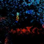 image: Image from the photoset &lsquo;damage (cclxxix)&rsquo;.