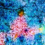 image: Image from the photoset &lsquo;damage (cclxxix)&rsquo;.