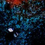 image: Image from the photoset &lsquo;damage (cclxxix)&rsquo;.