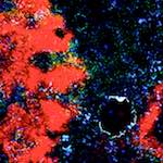 image: Image from the photoset &lsquo;damage (cclxxix)&rsquo;.