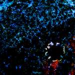 image: Image from the photoset &lsquo;damage (cclxxix)&rsquo;.