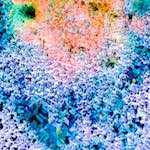 image: Image from the photoset &lsquo;damage (cclxxx)&rsquo;.