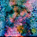 image: Image from the photoset &lsquo;damage (cclxxx)&rsquo;.