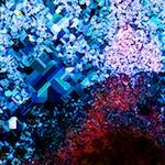 image: Image from the photoset &lsquo;damage (cclxxx)&rsquo;.