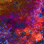 image: Image from the photoset &lsquo;damage (cclxxx)&rsquo;.