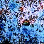 image: Image from the photoset &lsquo;damage (cclxxx)&rsquo;.