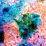 image: Image from the photoset &lsquo;damage (cclxxx)&rsquo;.