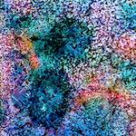 image: Image from the photoset &lsquo;damage (cclxxxi)&rsquo;.