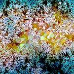 image: Image from the photoset &lsquo;damage (cclxxxi)&rsquo;.