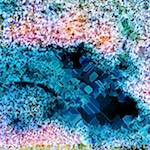 image: Image from the photoset &lsquo;damage (cclxxxi)&rsquo;.