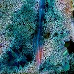 image: Image from the photoset &lsquo;damage (cclxxxi)&rsquo;.