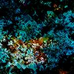 image: Image from the photoset &lsquo;damage (cclxxxii)&rsquo;.