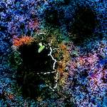 image: Image from the photoset &lsquo;damage (cclxxxii)&rsquo;.