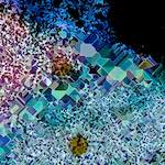 image: Image from the photoset &lsquo;damage (cclxxxiii)&rsquo;.