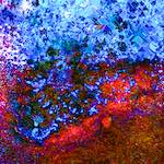 image: Image from the photoset &lsquo;damage (cclxxxiii)&rsquo;.