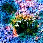 image: Image from the photoset &lsquo;damage (cclxxxiii)&rsquo;.