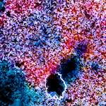 image: Image from the photoset &lsquo;damage (cclxxxiii)&rsquo;.