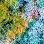 image: Image from the photoset &lsquo;damage (cclxxxiv)&rsquo;.