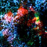 image: Image from the photoset &lsquo;damage (cclxxxiv)&rsquo;.