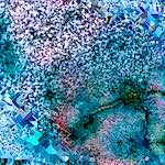 image: Image from the photoset &lsquo;damage (cclxxxiv)&rsquo;.