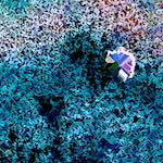 image: Image from the photoset &lsquo;damage (cclxxxiv)&rsquo;.