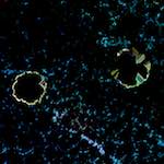 image: Image from the photoset &lsquo;damage (cclxxxiv)&rsquo;.