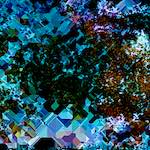 image: Image from the photoset &lsquo;damage (cclxxxv)&rsquo;.