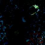 image: Image from the photoset &lsquo;damage (cclxxxv)&rsquo;.