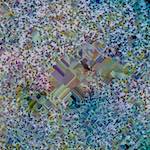 image: Image from the photoset &lsquo;damage (cclxxxv)&rsquo;.